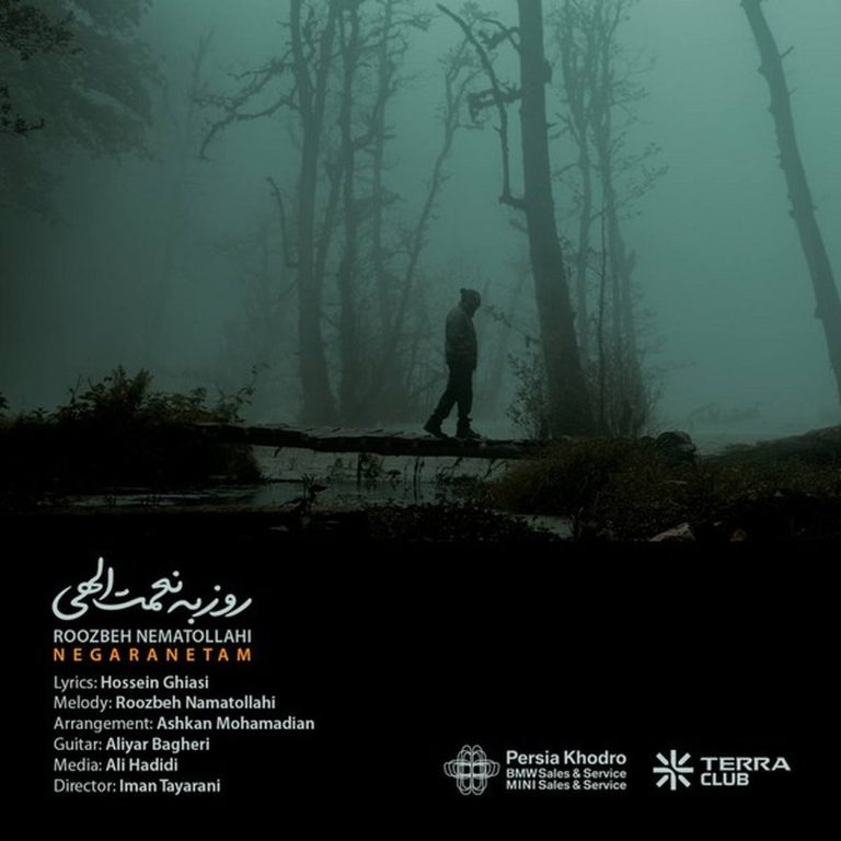 نگرانتم cover